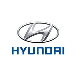 Hyundai Timing Chain Kit