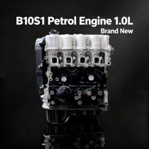 Chevrolet B10S1 Engine long block